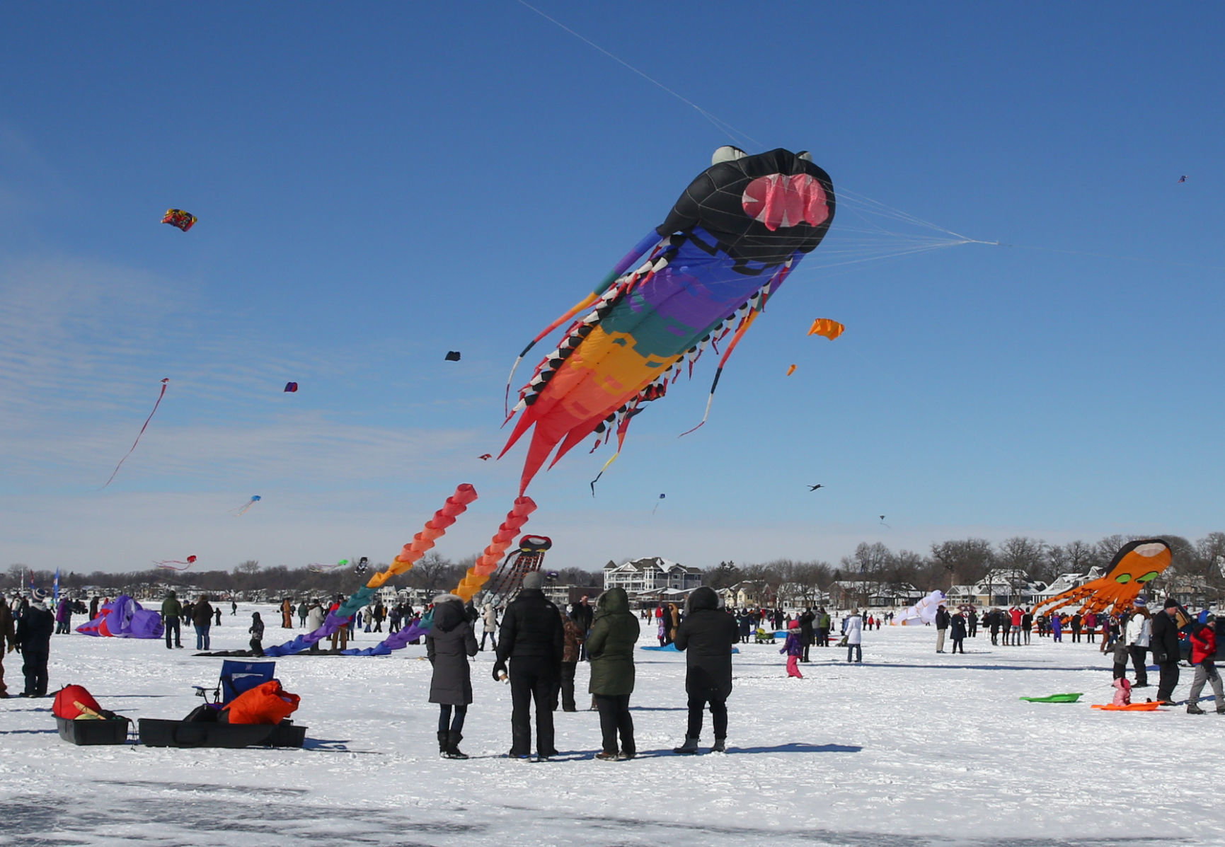 Color the Wind Kite Festival 2019 (37).jpg